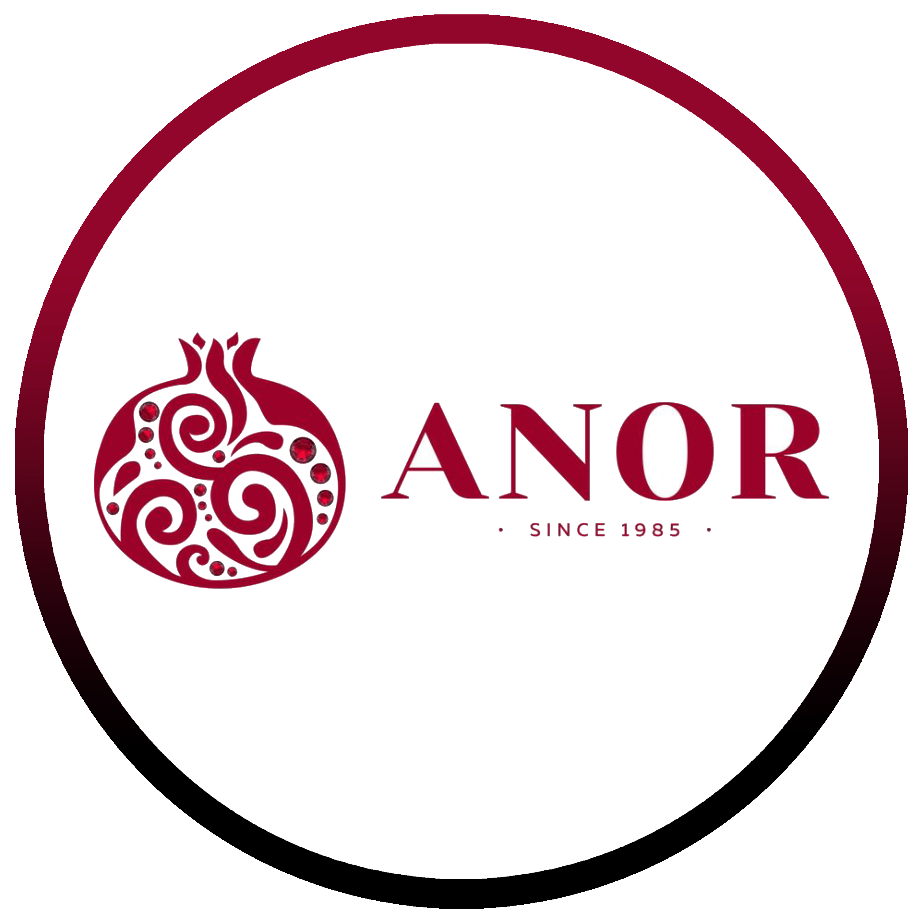 Anor 1985 Restaurant Serves Halal Food in Chicago, IL 60614